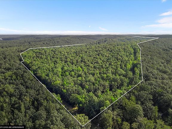 2nd image of 8050 Cuba Landing Rd