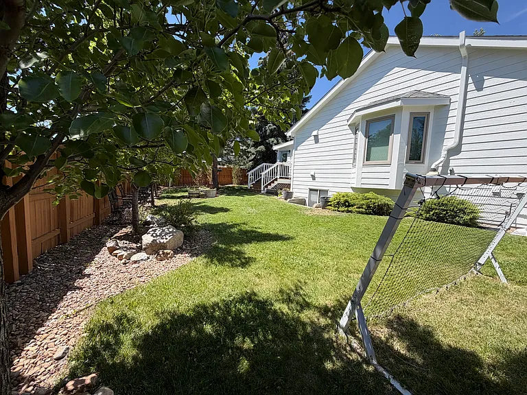 East side of backyard.
