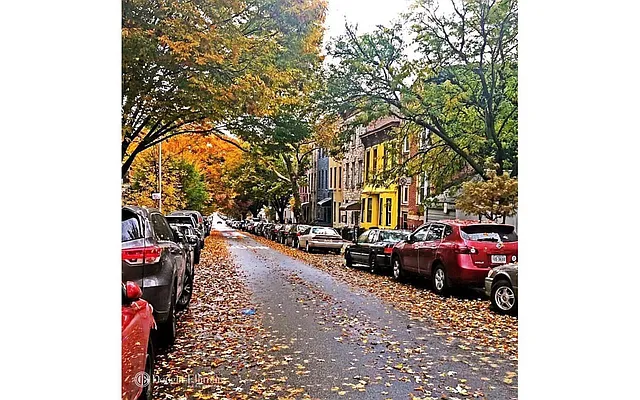 Rented by Douglas Elliman | media 13