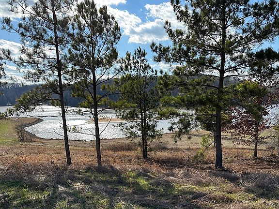 2nd image of Lake Pointe Dr #309