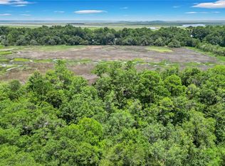 LOT 59 Saint Josephs Poin SE, Darien, GA 31305
