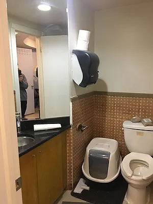 Rented by Bond New York | media 20