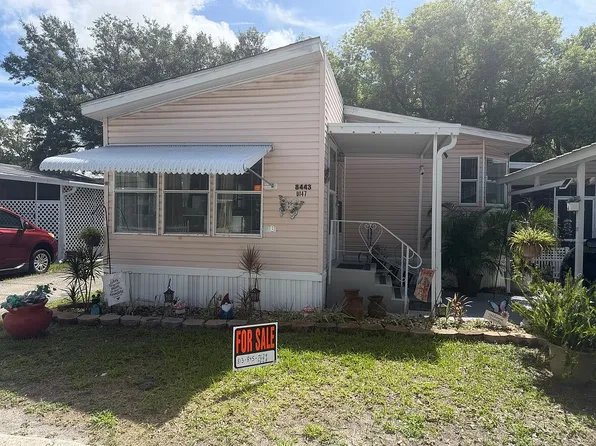 8443 Shell Dr, Town N Country, FL 33615