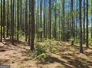 3057 Keysville Boggs Academy Rd, Keysville, GA 30816