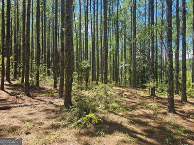 3057 Keysville Boggs Academy Rd, Keysville, GA, 30816