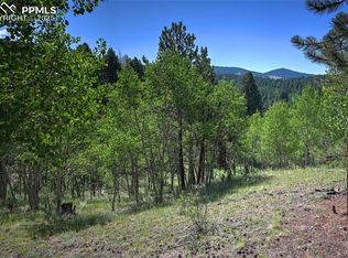412 Princess Rd, Cripple Creek, CO 80813