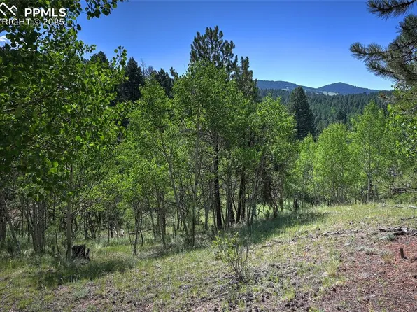 412 Princess Rd, Cripple Creek, CO 80813