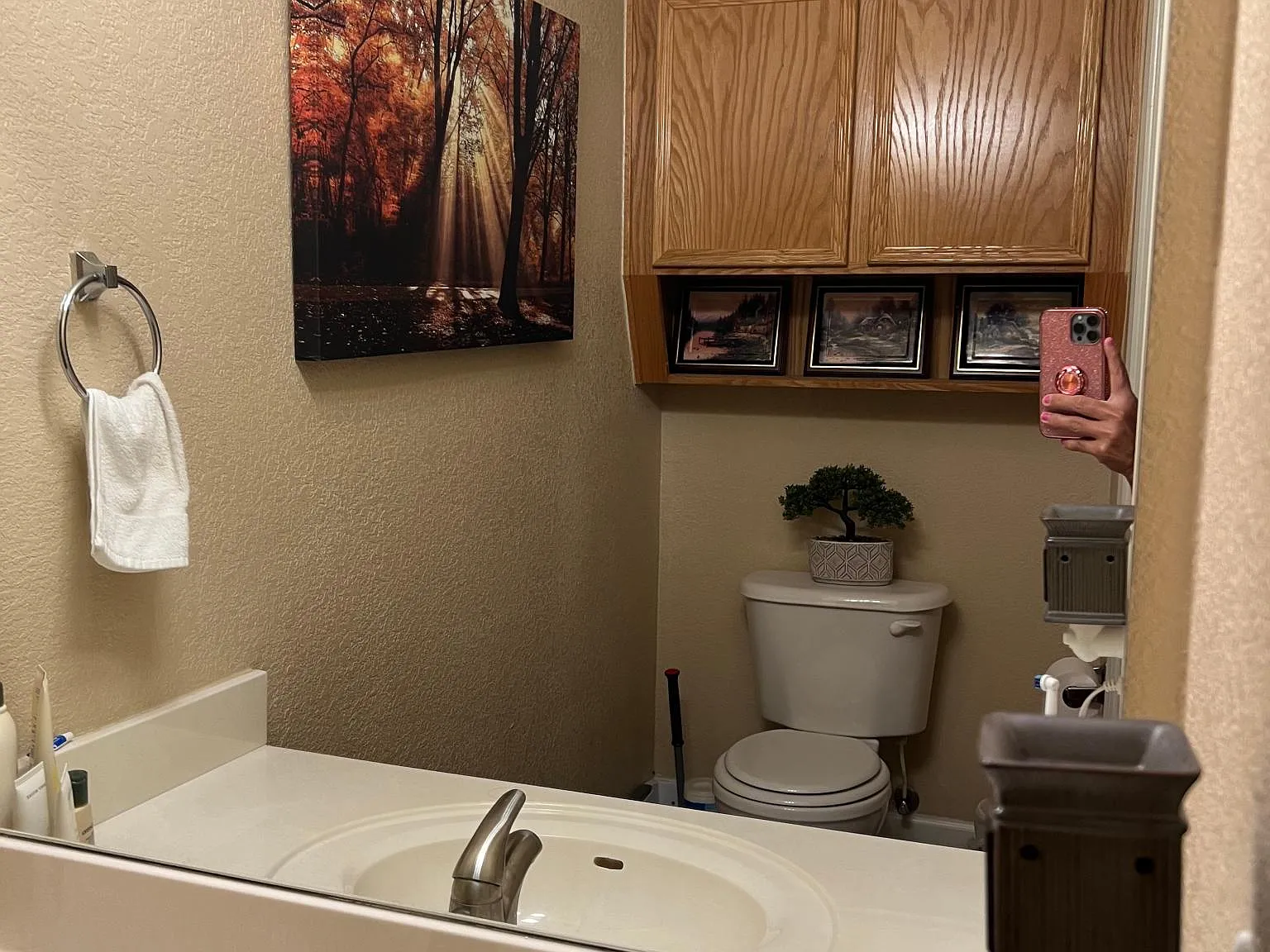 4504 Acorn Creek Trl — Photo 4