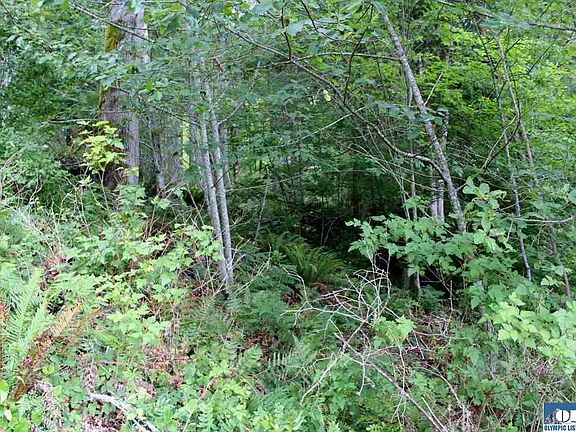 5th image of 999 Rocky Brooke Rd