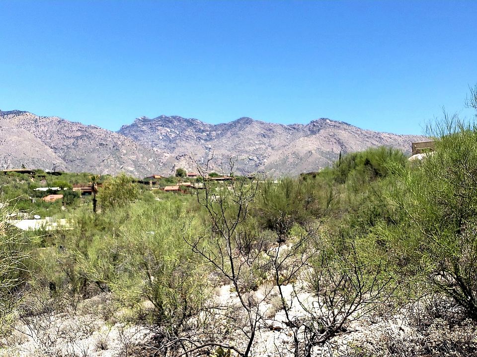 1st image of 5579 N Cimarron Vista Ct