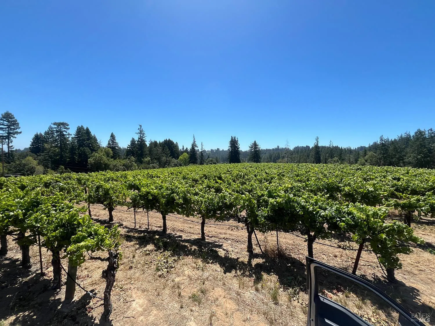 11480 Graton Road - Photo 10