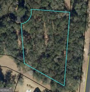0 Blackberry Ln NE, Townsend, GA, 31331