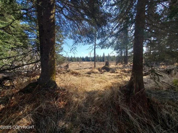 24740 Plumb Ln, Anchor Point, AK 99556