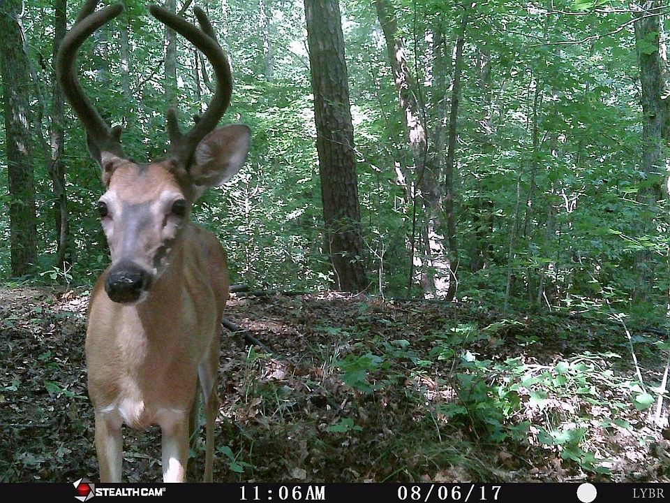 1st image of 6 Hudson Dr