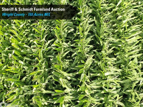 180th St, Alexander, IA 50420