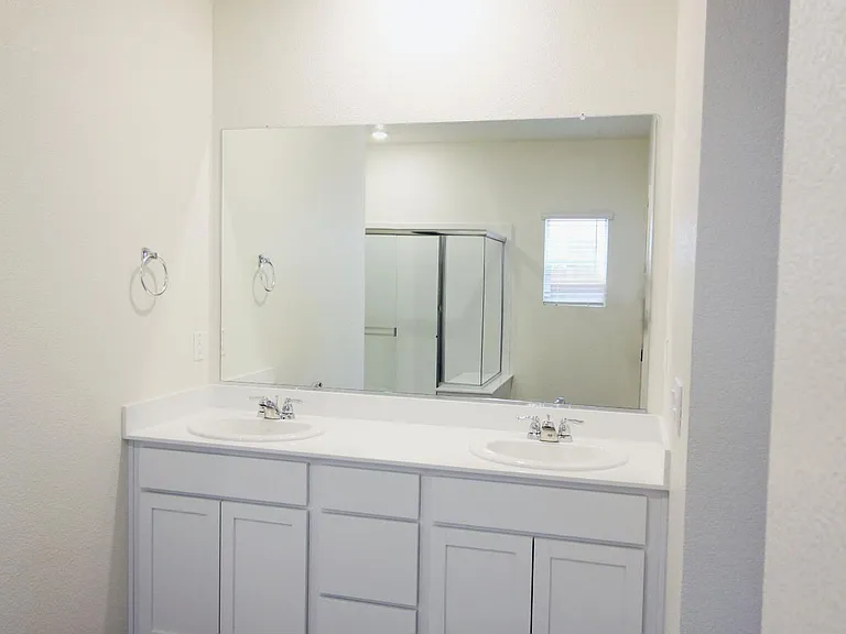 Primary bath vanity