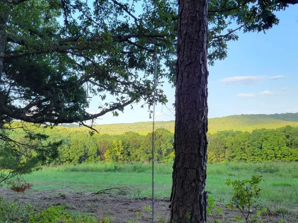 Tract 3 Private Drive 2336, Norwood, MO 65717