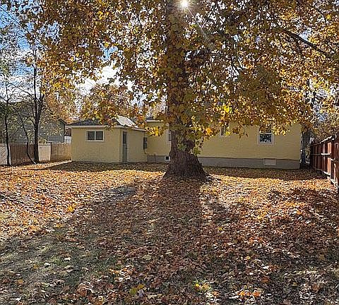 Big Back Yard with tree