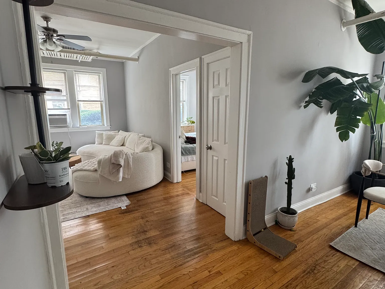 1 bed, 875 sqft, $1,200 — Photo 3