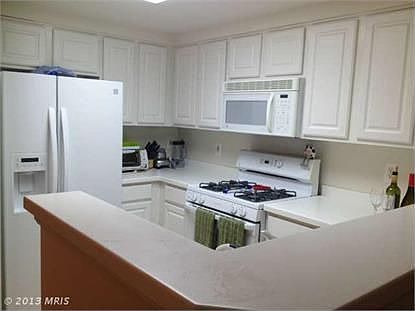 2nd image of 3830 9th St N APT 304E