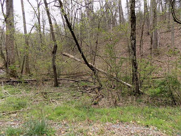 5th image of 1 Mountain Shadow Way Lot 85186