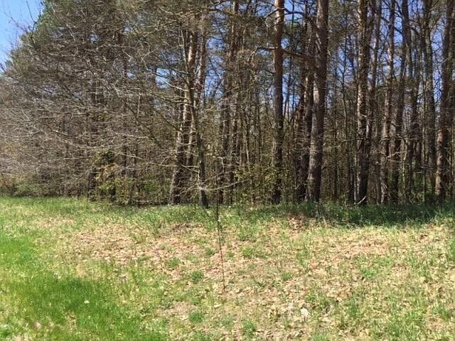 2nd image of 0 Snowfarm Ln