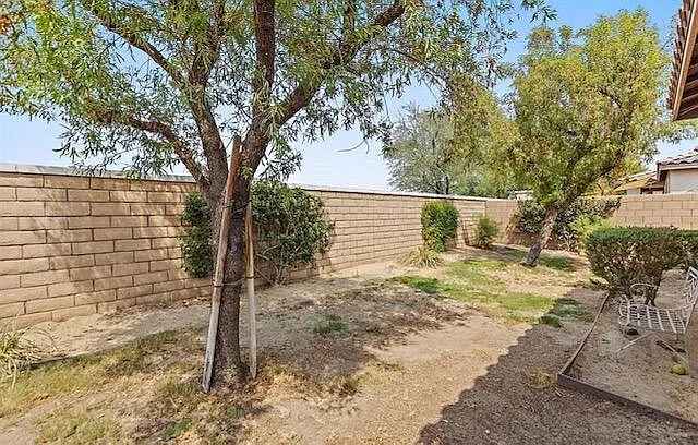 49599 Pacino St — Photo 13
