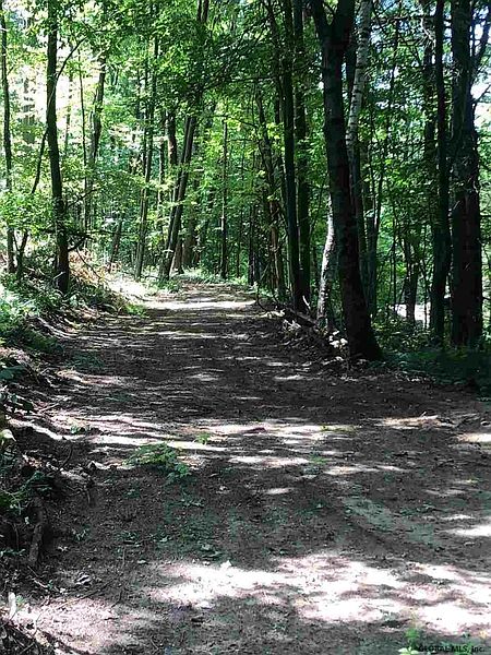 3rd image of 182 RT 9P #Rte 9P