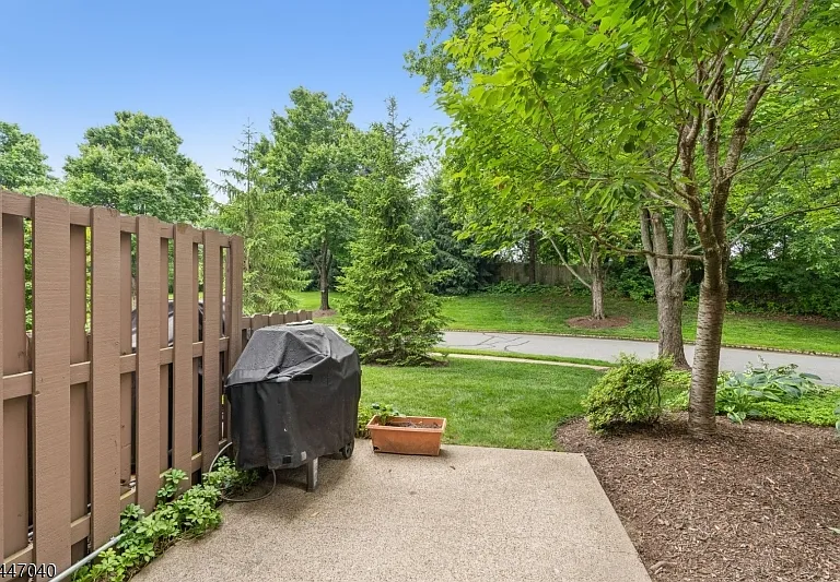 251 Plymouth Ct #251 — Photo 22