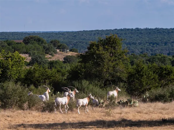 81 Private Road 4718 Rd, Kempner, TX 76539