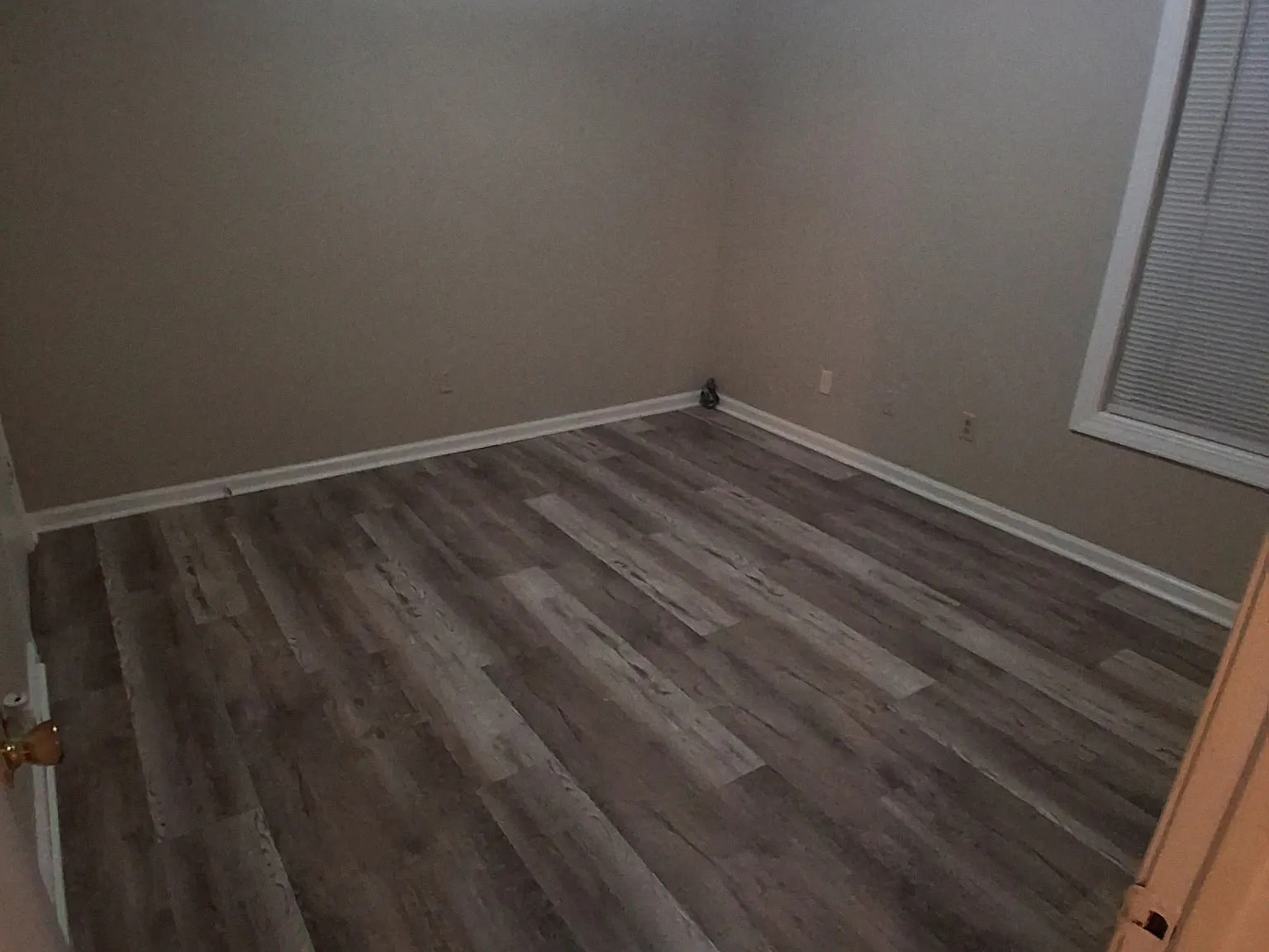 453 Otis Dr New - 1 — Photo 3