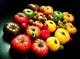 318 Cedar St, Bangs, TX 76823