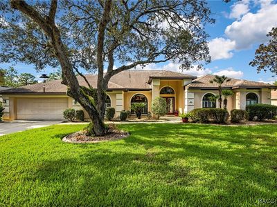 9 Bigleaf Ct, Homosassa, FL, 34446