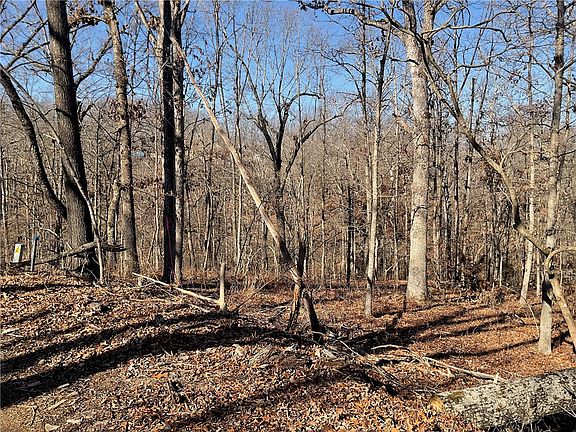 4th image of Ettrick Ln #14