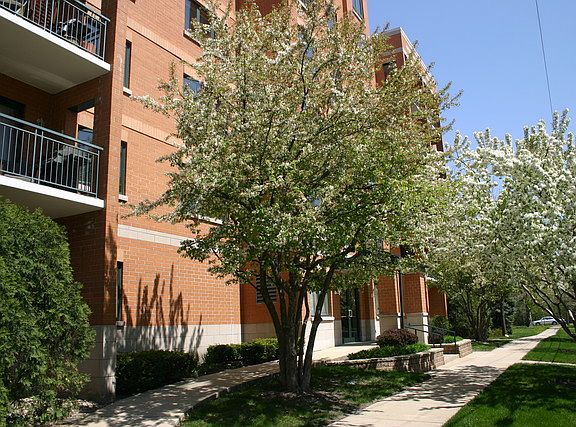 4th image of 1636 Ashland Ave Unit 302