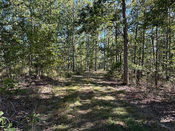 3rd image of 373 Old Highway 18