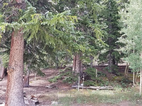 5th image of 61 S Aspen Way