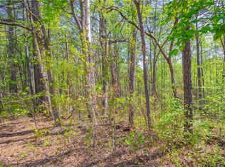 0 Lake Esther Dr LOT 1, Fairburn, GA 30213