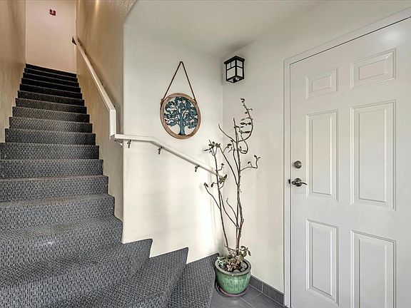 3rd image of 556 King George Ave