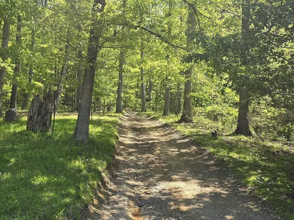 TRACT 7 Dooley Hollow Rd, Ewing, VA 24248