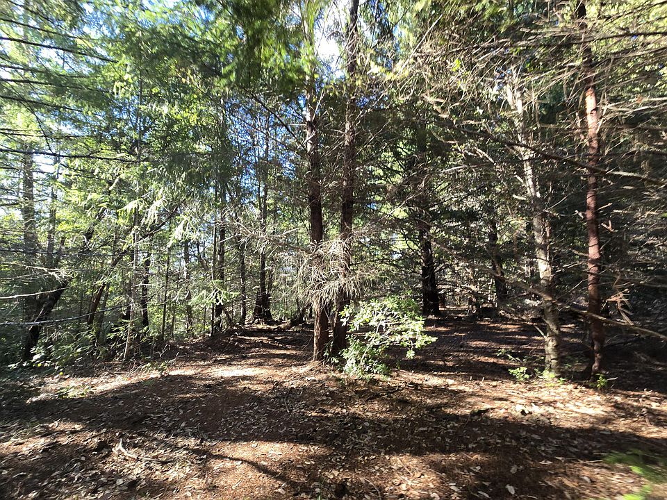 2nd image of 0 Bell Springs Rd