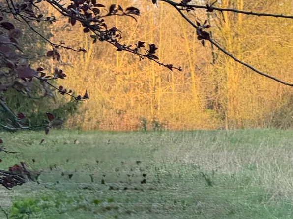 Pucker St, Niles, MI 49120