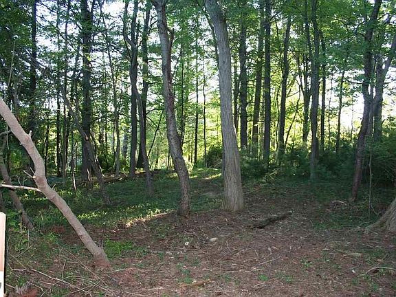 5th image of N Manitou Trl