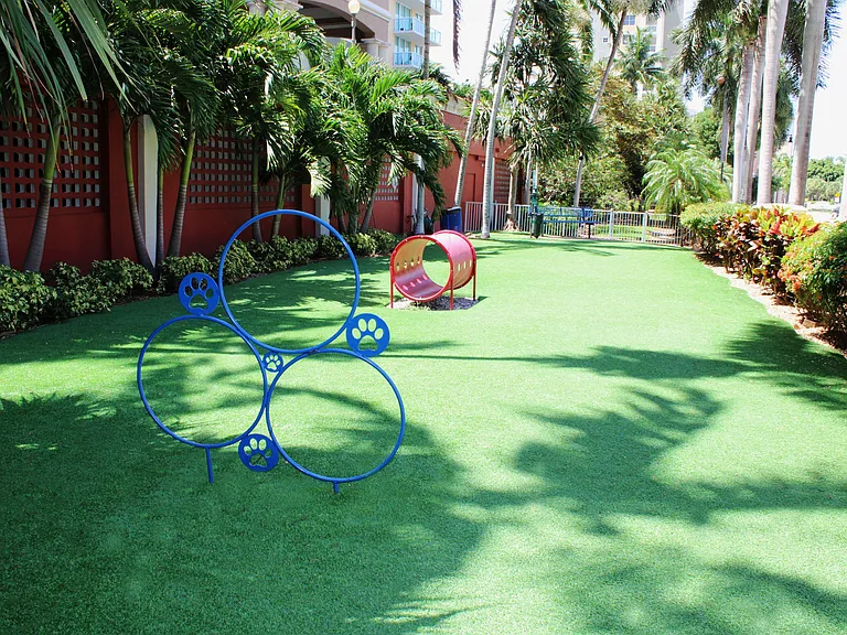 Bark Park