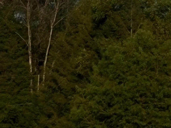 Camelot, Rogersville, TN 37857