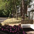 2nd image of 1601 N Innsbruck Dr NE #290