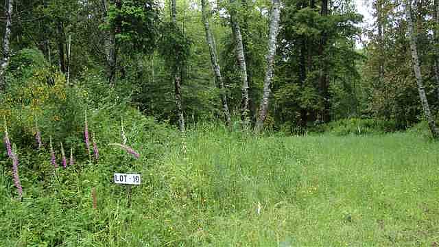 1st image of 0 Bell Hole Loop Lot 19