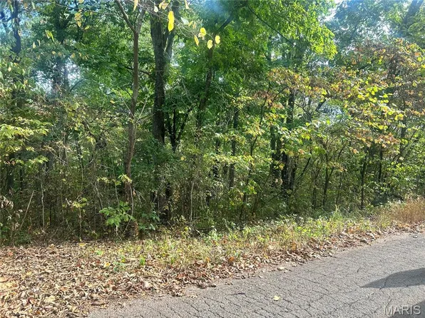 0 Bell St, Potosi, MO 63664