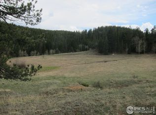 515 Bigbee High Rd, Ward, CO 80481