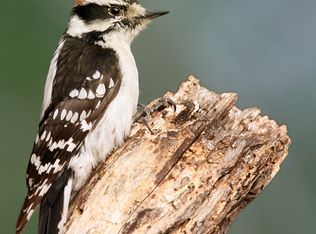 5126 Zion Rd, Cleves, OH 45002